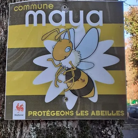 Au Temps De Spa Exterior foto